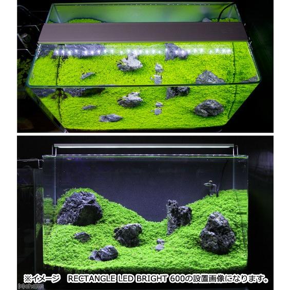 アクロ　ＬＥＤ　ＲＥＣＴＡＮＧＬＥ　ＢＲＩＧＨＴ　１２００　水槽　照明　熱帯魚　アクアリウム　ライト｜chanet｜03