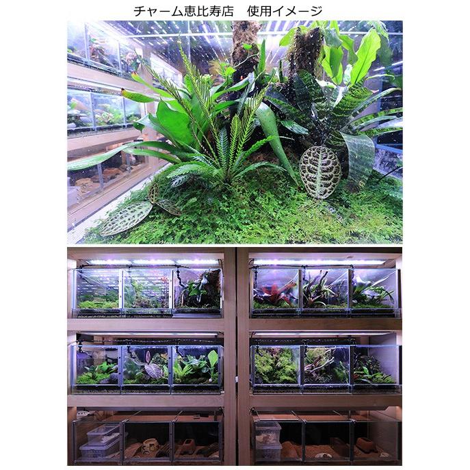アクロ TRIANGLE テラリウム・アクアポニックス・陸上植物用