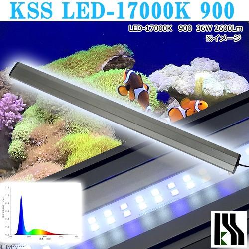 興和 KSS LED−17000K 900 90〜100cm水槽用