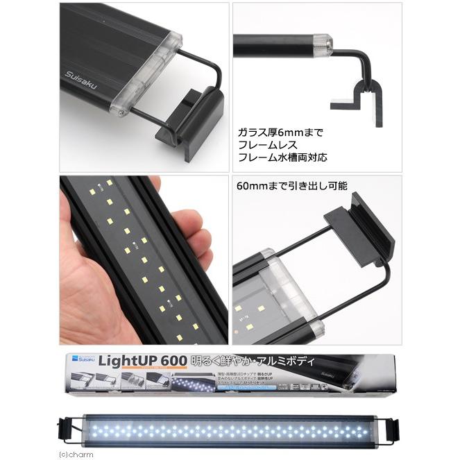 超人気 専門店 水作 ライトアップ ６００ ブラック ライト ６０ｃｍ水槽用照明