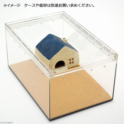 シェルター　青い屋根のおうち　Ｓｔａｎｄａｒｄ　Ｍ　信楽焼　爬虫類　両生類