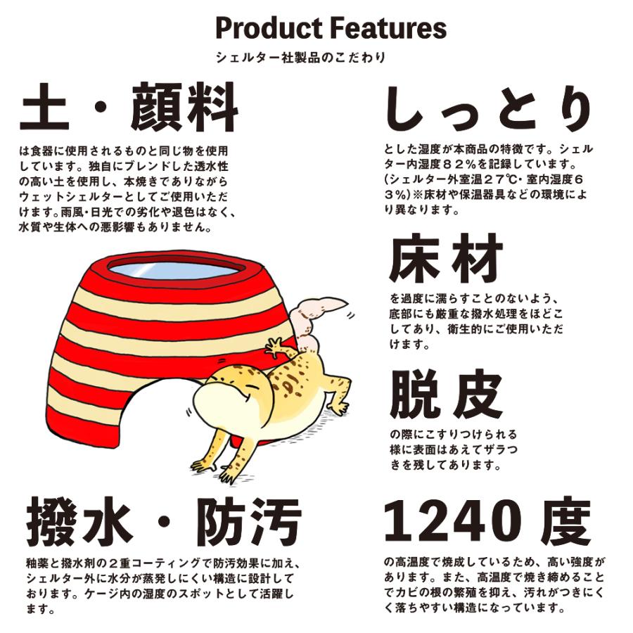 シェルター　青い屋根のおうち　Ｓｔａｎｄａｒｄ　Ｍ　信楽焼　爬虫類　両生類