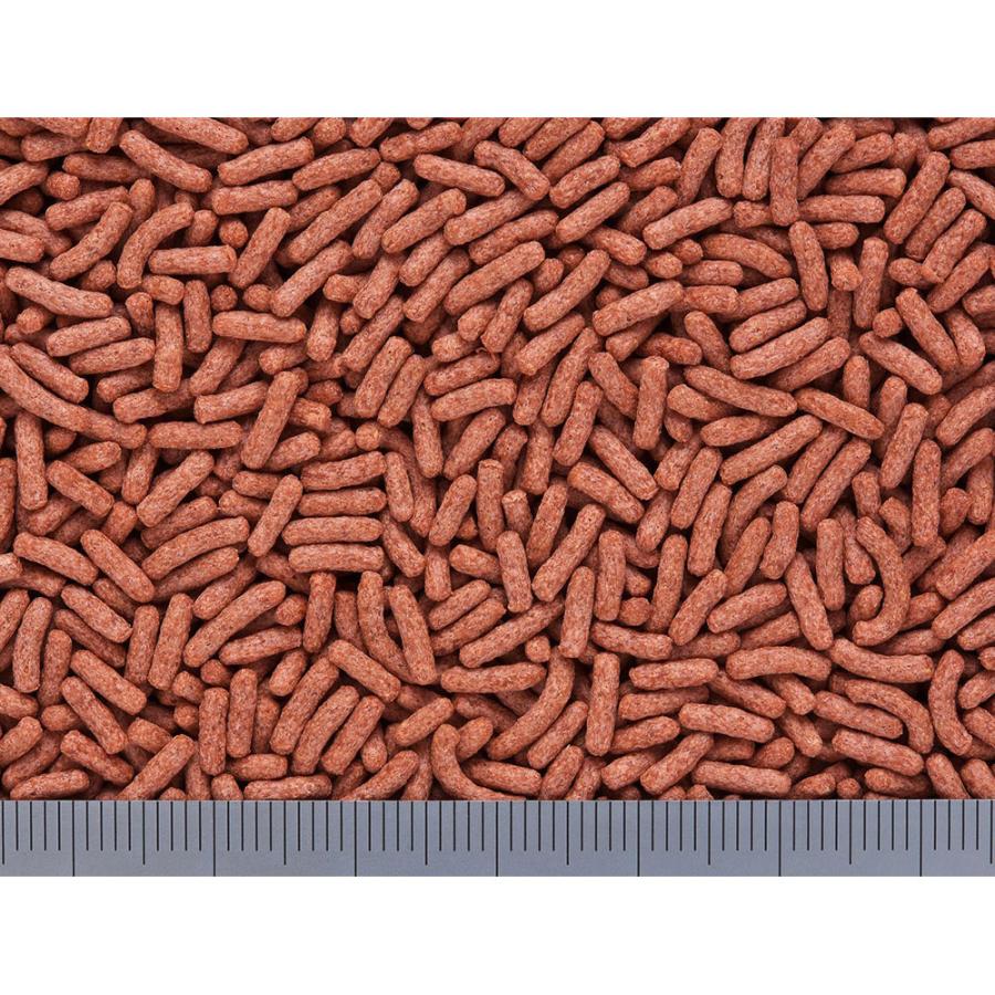 キョーリン カメプロス プレミアム 小スティック 70g 餌 水棲カメ用