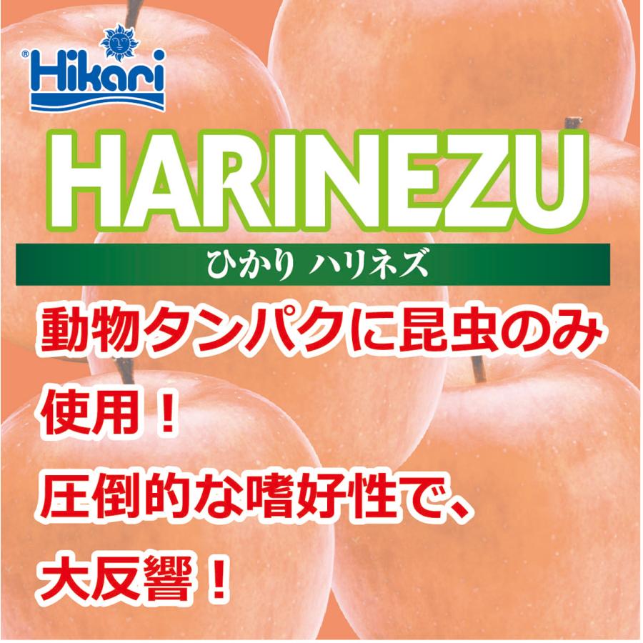 Hikari（ひかり） キョーリン ハリネズ 1．1kg ソフトペレット