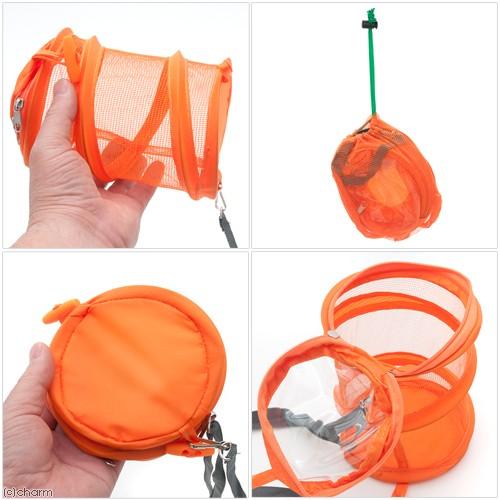 コンパクト虫かご　コロン　オレンジ | エーワン | 02