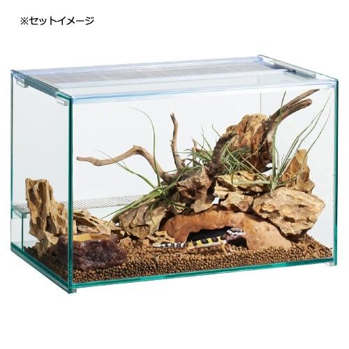 ｇｅｘ エキゾテラ レプテリア クリア３００ お一人様５点限り 爬虫類 昆虫 ケージ チャーム Charm Paypayモール店 通販 Paypayモール