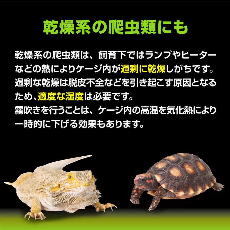 GEX（ジェックス） エキゾテラ モンスーンソロ ミスティング