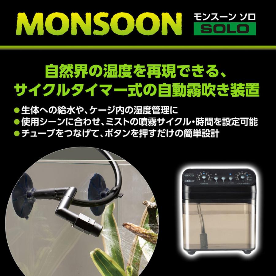 GEX（ジェックス） エキゾテラ モンスーンソロ ミスティング