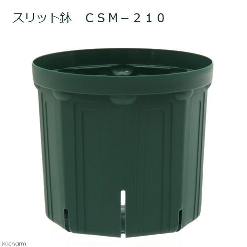 スリット鉢 ｃｓｍ ２１０ ガーデニング 卓抜 鉢 果樹 家庭菜園 バラ お一人様１０点限り