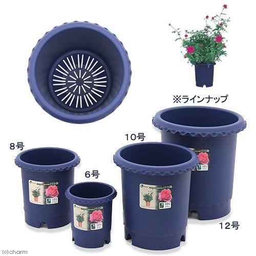 リッチェル バラ鉢 ブルー ８号 F２４ ２４ｃｍ バラ用 イングリッシュローズ フレンチローズ 通気性 排水性 上げ底 チャーム Charm Paypayモール店 通販 Paypayモール