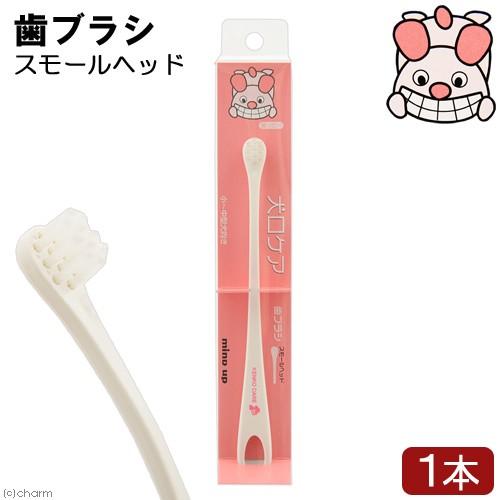 新品 犬口ケア 犬用歯ブラシ スモールヘッド 歯磨き デンタルケア305円 Aynaelda Com