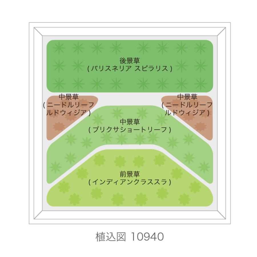 チャーム（charm） （水草）らくらく小型水槽用レイアウトセット（水中