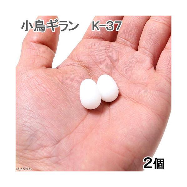 コバヤシ　小鳥ギラン　Ｋー３７　２個入り　擬卵｜chanet｜02