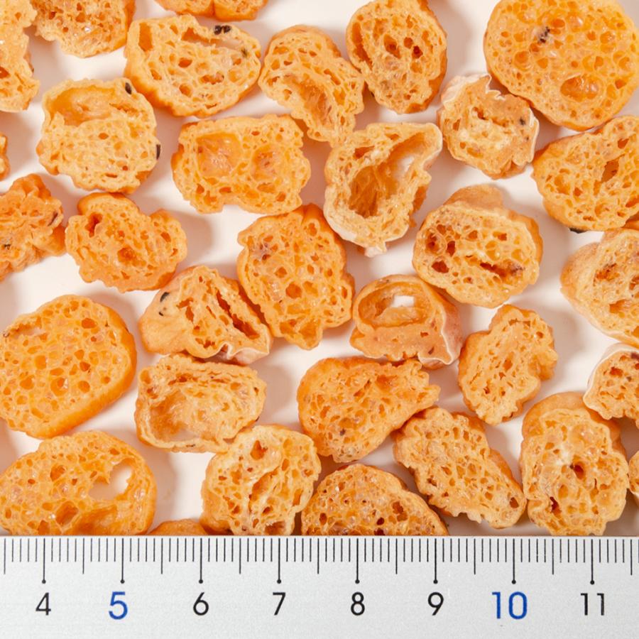 GEX（ジェックス） カメのごちそうパン おさかな味×6袋 餌 エサ