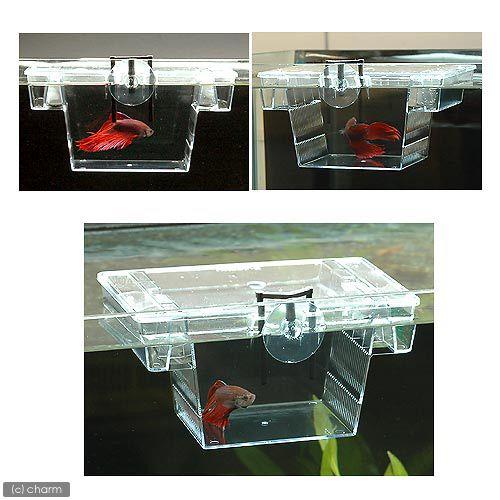 最上の品質な 水作 産卵箱 フロートボックス Riosmauricio Com