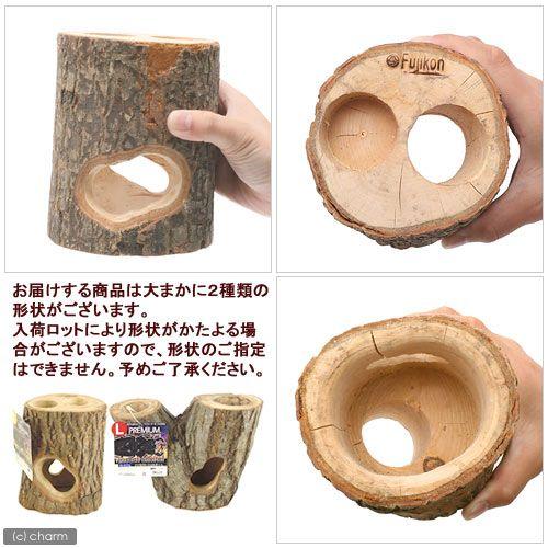 フジコン プレミアム インセクトシェルター ｌ 昆虫 カブトムシ クワガタ のぼり木 レイアウト用品 エサ皿 チャーム Charm Paypayモール店 通販 Paypayモール