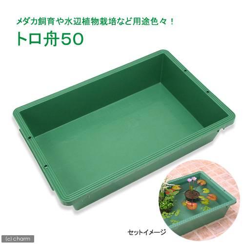 トロ舟50（幅72．6×奥行47×高さ16cm） お一人様2点限り