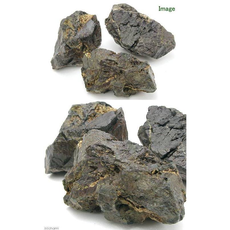 チャーム（charm） 形状お任せ 風山石 Lサイズ（約20〜25cm