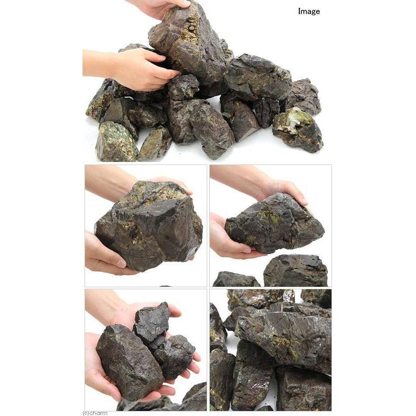 風山石　特大サイズ チャーム（ペット） 形状お任せ 風山石 サイズミックス 20kg