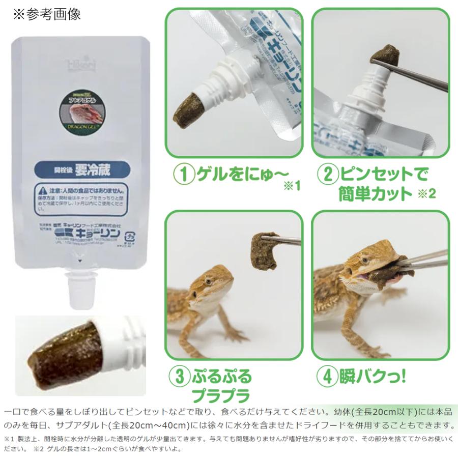 キョーリン　フトアゴゲル　６０ｇ　フトアゴヒゲトカゲ　フトアゴ　フード　お一人様２５点限り｜chanet｜02