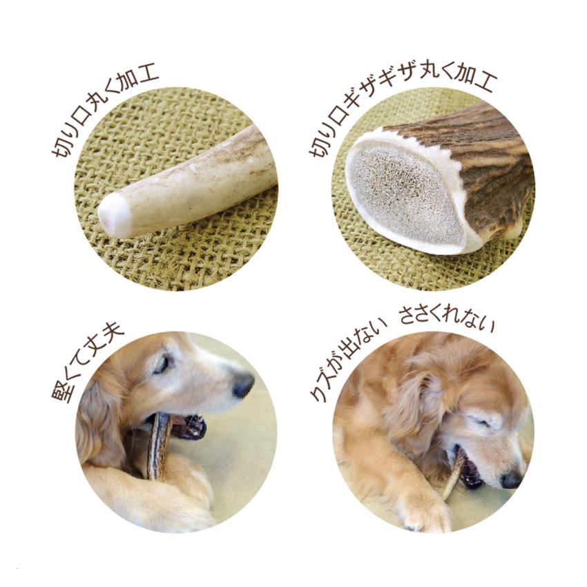 ペッツルート　ベニソンアントラー　Ｍ　犬用おもちゃ　鹿角　小型犬〜中型犬用 | ペッツルート | 02