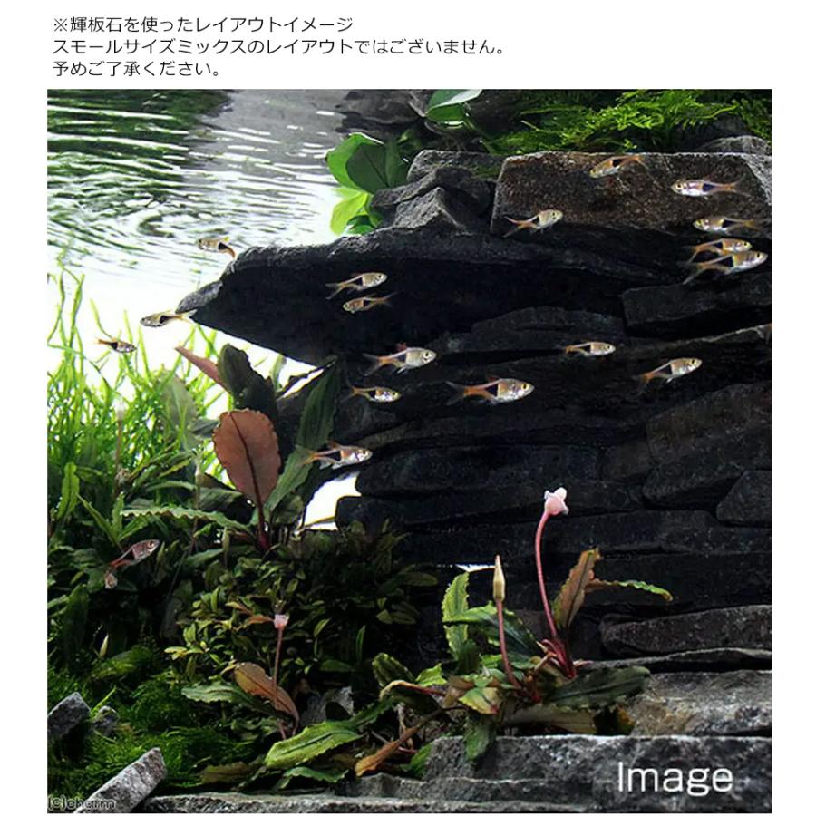 チャーム（charm） 形状お任せ 輝板石 スモールサイズミックス（約2