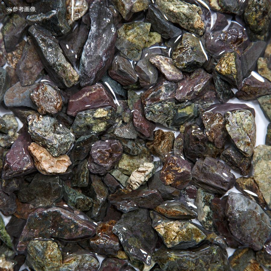 チャーム（charm） 形状お任せ 底床用 風山石 ラージサイズミックス