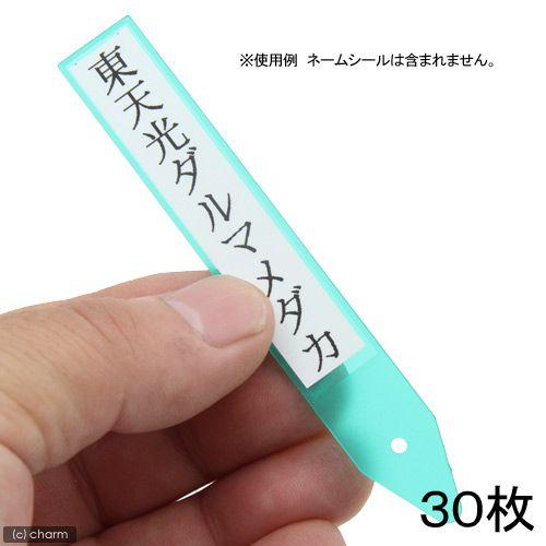 Leaf Corp メダカ用ネームプレート（グリーン） 30枚 : チャーム