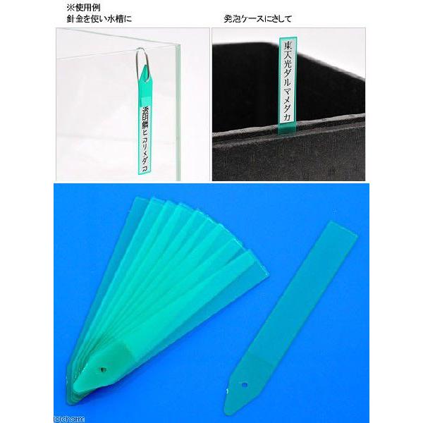 Leaf Corp メダカ用ネームプレート（グリーン） 30枚 : チャーム