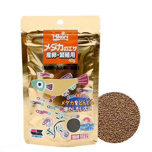（めだか）黒メダカ（１２匹）＋メダカのエサ　産卵・繁殖用　４０ｇ　本州・四国限定 | チャーム（ペット） | 02