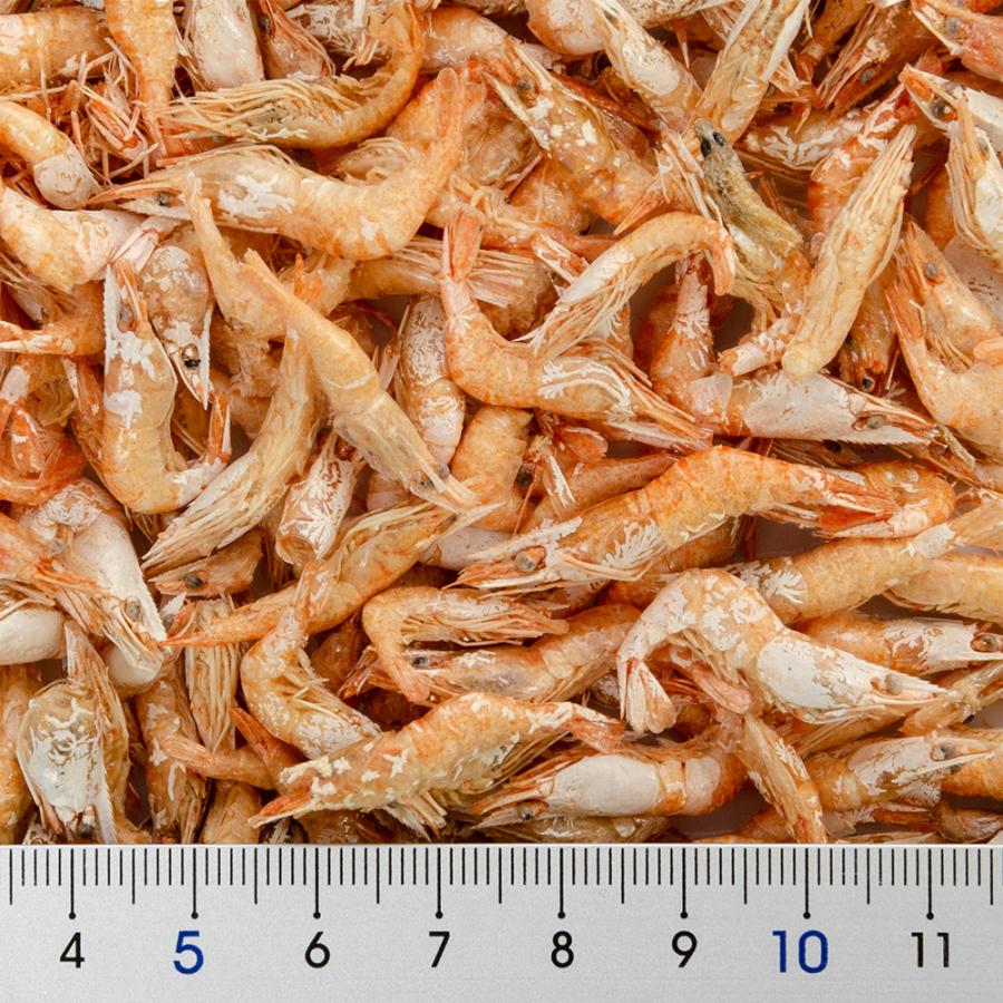 キョーリン 乾燥川エビ カメのごほうび 12g 餌 エサ おやつ
