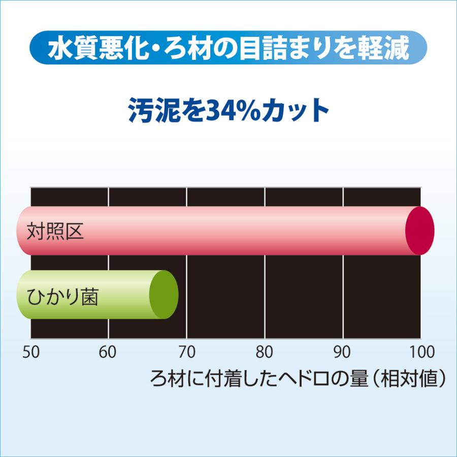 キョーリン　咲ひかり　金魚　育成用　沈下　２００ｇ　緑　金魚のえさ　エサ　餌　金魚の餌　お一人様３０点限り | Hikari（ペット用品） | 04