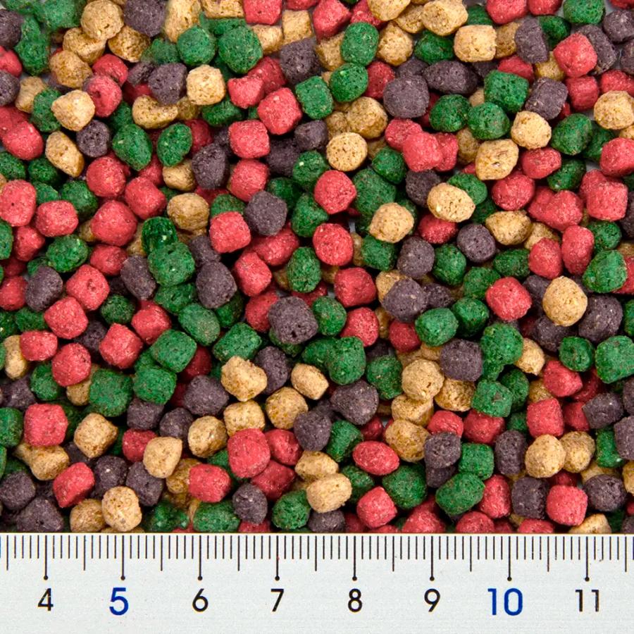 リクガメフード　ビバリア　レップカル　３４０ｇ　草食性リクガメの毎日の食事に！ |  | 01