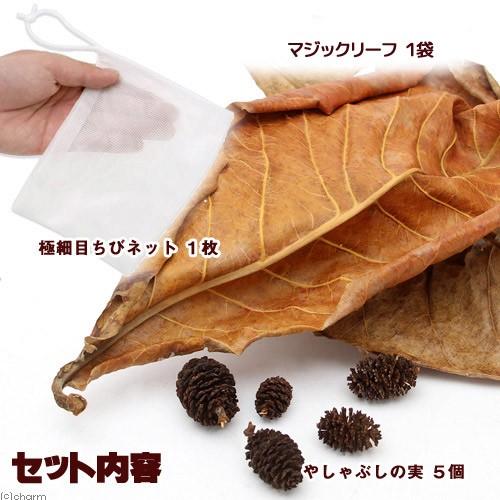【puipuiさん専用】マジックリーフ 1kg Leaf Corp インスタントブラックウォーター作成キット（1個
