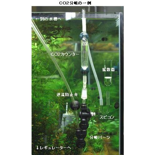耐圧チューブ 外径6mm クリアブルー 5m : チャーム charm ヤフー