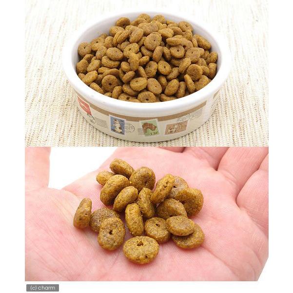 ロイヤルカナン　ミニ　エイジング　１２＋　高齢犬用　１．５ｋｇ　３１８２５５０７９３５７５　ジップ付　小型犬　お一人様５点限り | ロイヤルカナン | 07