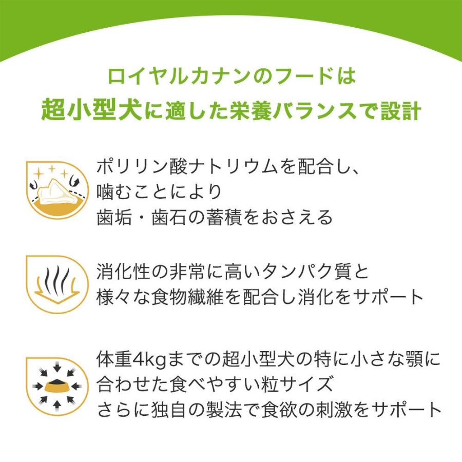 ロイヤルカナン　エクストラスモール　エイジング　１２＋　高齢犬用　５００ｇ　３１８２５５０７９３８４１　ジップ無し　超小型犬　お一人様５点限り | ロイヤルカナン | 05