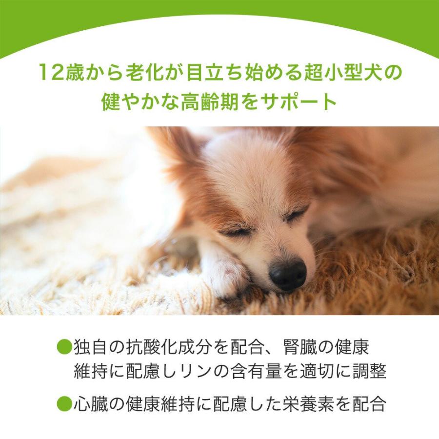 ロイヤルカナン　エクストラスモール　エイジング　１２＋　高齢犬用　５００ｇ　３１８２５５０７９３８４１　ジップ無し　超小型犬　お一人様５点限り | ロイヤルカナン | 06