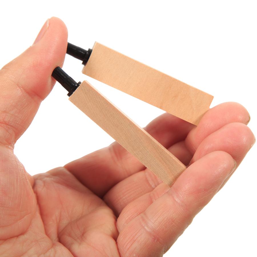 アクア工房 ウッドストーン（5．5cm）2個入り プロテインスキマー 