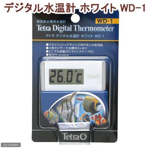 人気ブレゼント テトラ デジタル水温計 ホワイト ｗｄ １ 贈答品