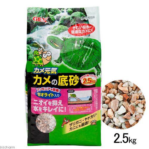 底砂セット GEX（ジェックス） カメ元気 カメの底砂 2．5kg : チャーム charm