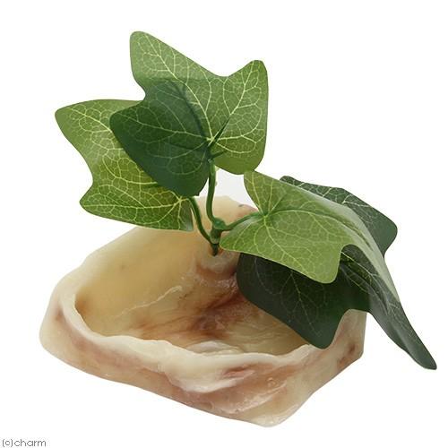 格安 三晃商会 ｓａｎｋｏ オカヤドカリのプール オカヤドカリ 水浴び セール特価品