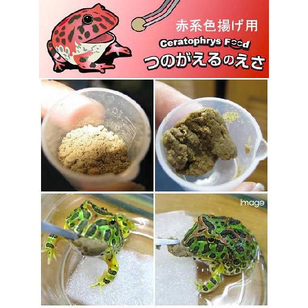 アクアシステム つのがえるのえさ 赤系色揚げ用 １００ｇ カエル用 餌 エサ チャーム Charm Paypayモール店 通販 Paypayモール