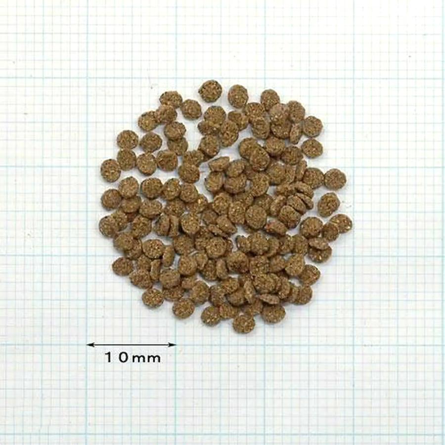 土佐姫 D（ペレットタイプ） 200g 金魚のえさ 土佐錦向け 餌