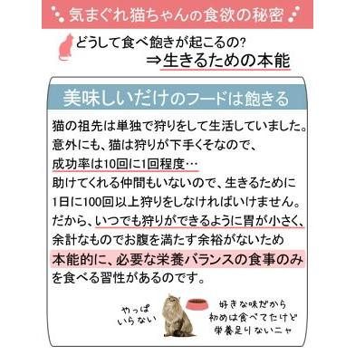 ロイヤルカナン 猫 ステアライズド 成猫用 85g 1箱48袋 9003579311301 沖縄別途送料 お一人様5点限り|チャーム charm |01