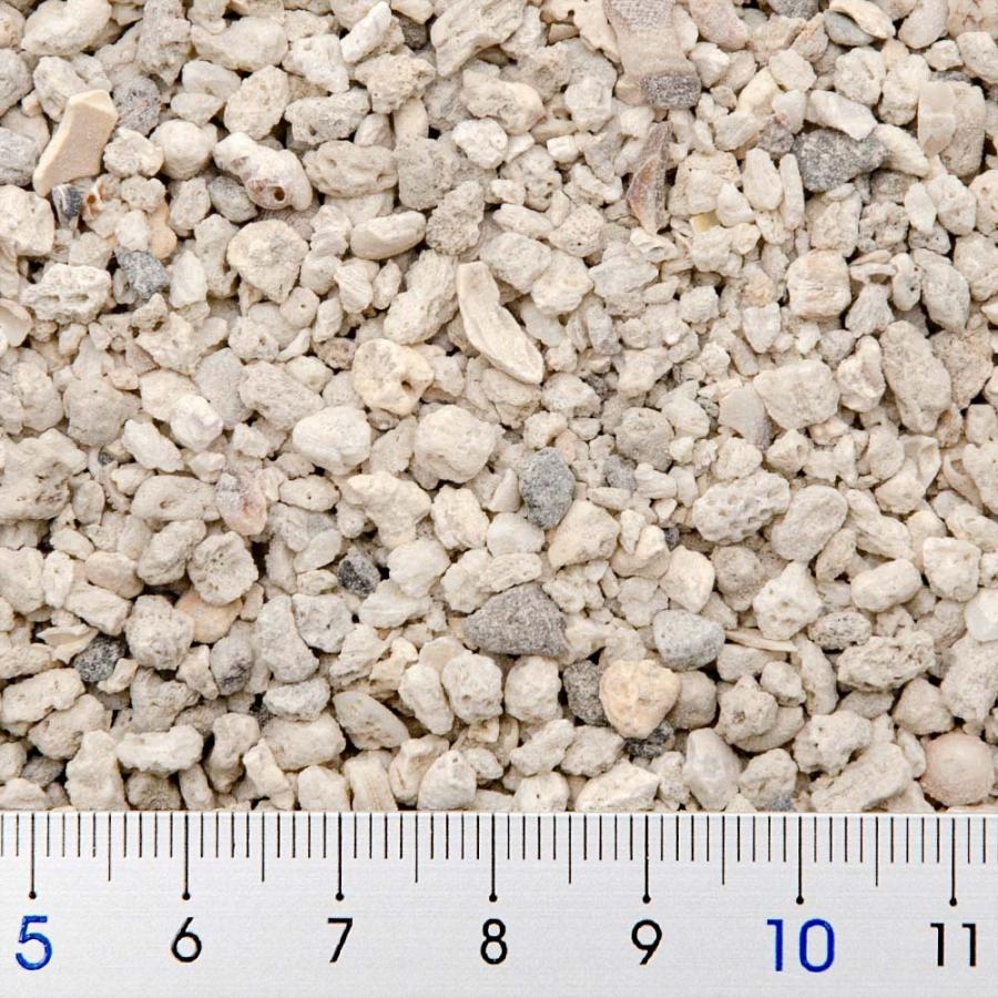 マルカン　ヤドカリのリラックスサンド　お徳用２．５ｋｇ　オカヤドカリ　敷材 | マルカン | 01