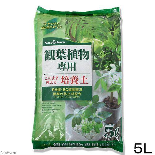 観葉植物専用培養土 ５ｌ ガーデニング 専用土 室内 園芸 チャーム Charm Paypayモール店 通販 Paypayモール