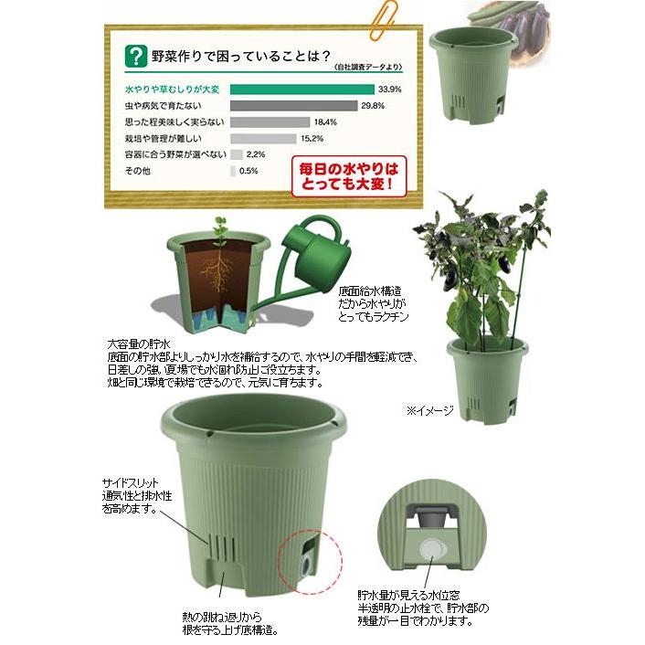 新作 リッチェル 水ラク菜園上手 丸 ３０型 グリーン お一人様６点限り 円形 底面給水 家庭菜園 実もの野菜 トマト 支柱留め具 鉢 丸プランター725円 Aynaelda Com