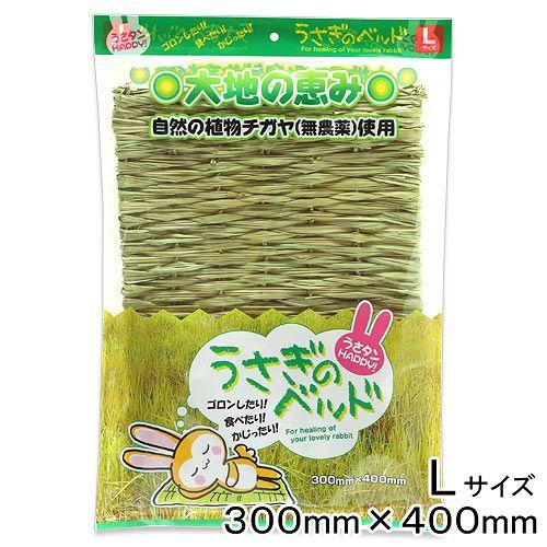 クオリス うさタンｈａｐｐｙ うさぎのベッド ｌ うさぎ クッション 座布団 Blog Diploma Msc Com