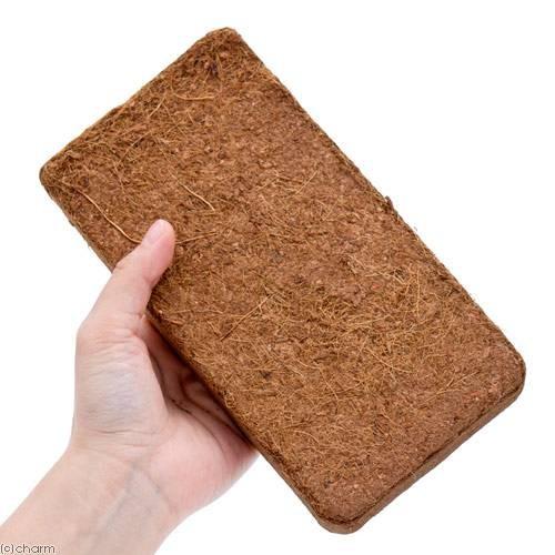 ジクラ アギト オカヤドカリ専用マット 細か目 約４ｌ分 圧縮タイプ オカヤドカリ 飼育セット チャーム Charm Paypayモール店 通販 Paypayモール